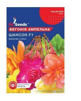 Насіння Бегонiї ампельної Шансон F1 (10шт), Collection, TM GL Seeds 4051 фото