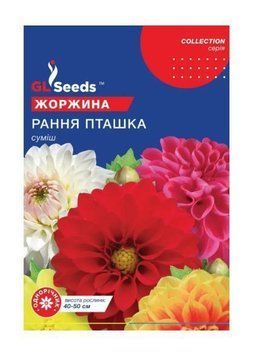 Насіння Жоржини Рання пташка (0.4г), Collection, TM GL Seeds 4052 фото