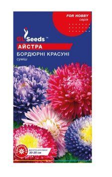 Насіння Айстри Бордюрнi красунi (3г), Professional , TM GL Seeds 192 фото
